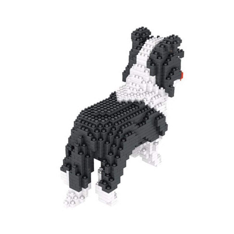 Border Collie Bouwblokjes