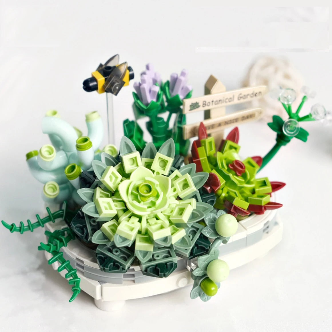 Succulent plant | Bouwsteentjes