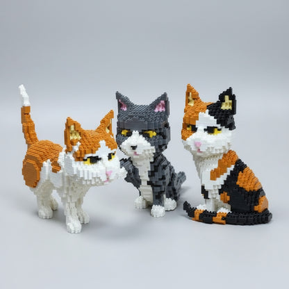 Grote Kat | Bouwsteentjes