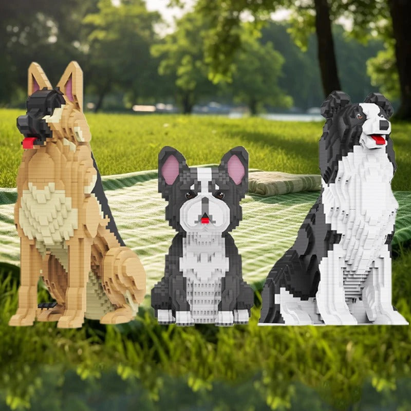 Border Collie | Bouwsteentjes