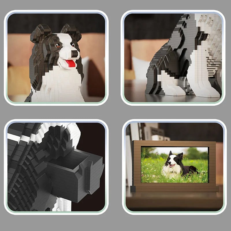 Border Collie | Bouwsteentjes