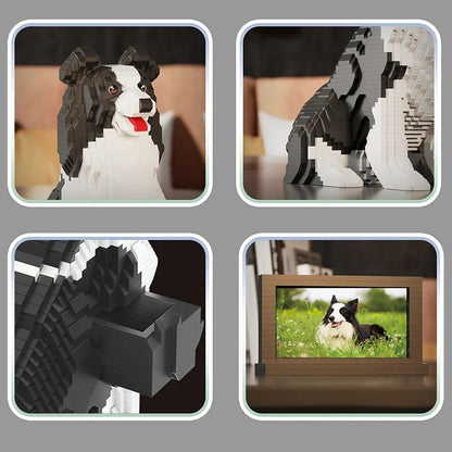 Border Collie | Bouwsteentjes