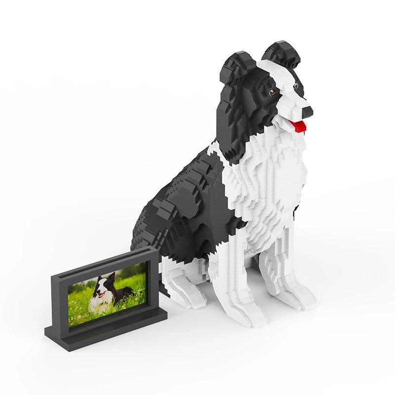 Border Collie | Bouwsteentjes