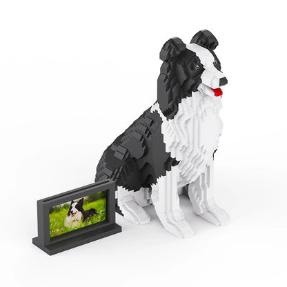 Border Collie | Bouwsteentjes
