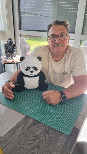 Panda | Morgen in huis | Bouwsteentjes