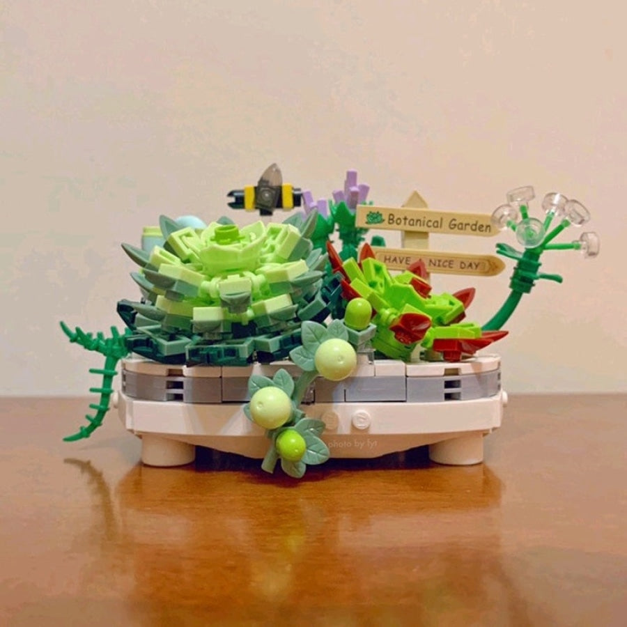 Succulent Plant Bouwblokjes