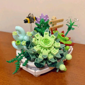 Succulent Plant Bouwblokjes