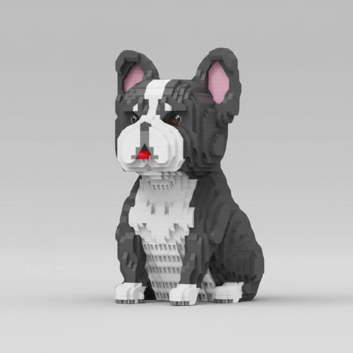 Franse Bulldog | Bouwsteentjes