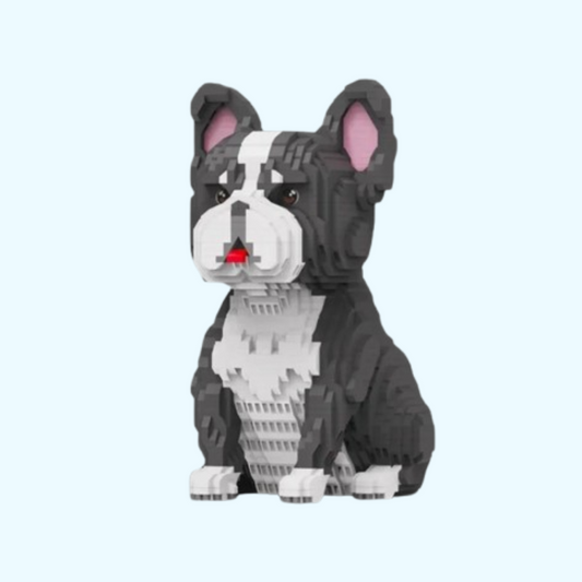 Franse Bulldog | Bouwsteentjes