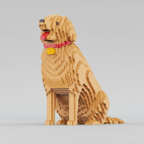 Golden retriever | Bouwsteentjes