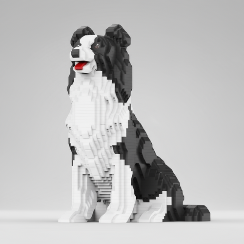 Border Collie | Bouwsteentjes