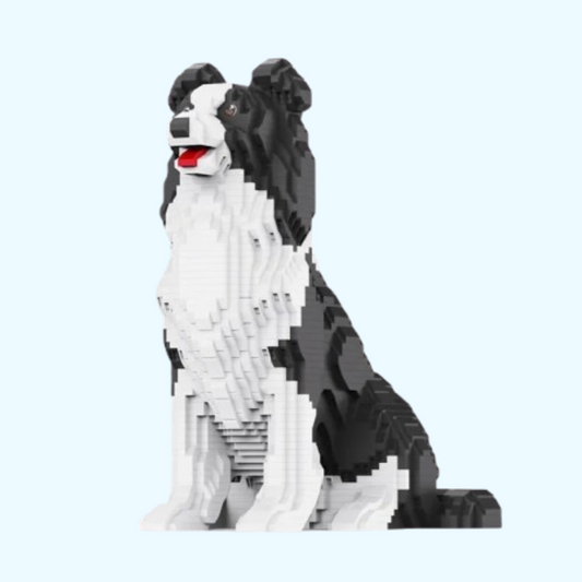 Border Collie | Bouwsteentjes
