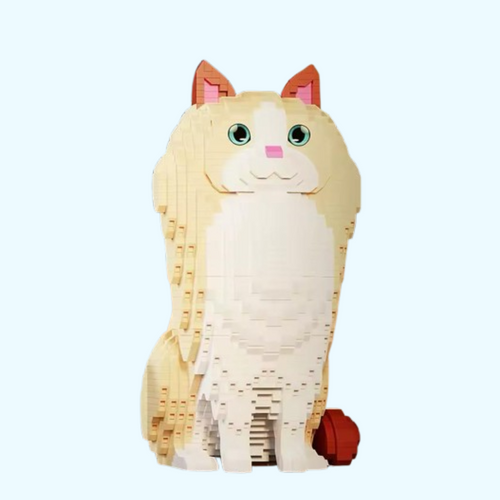 Ragdoll Kat | Bouwsteentjes